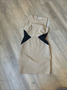 Sleeveless Colorblock Sheath Dress in Beige and Black